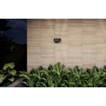 RADIANT - 8X18, OAK, MATTE